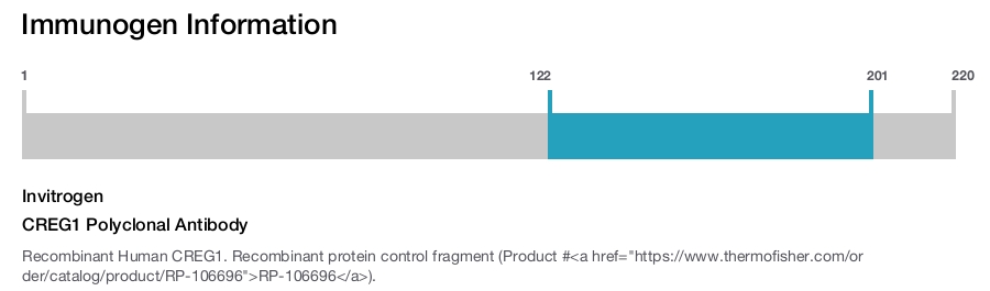 CREG1 Polyclonal Antibody