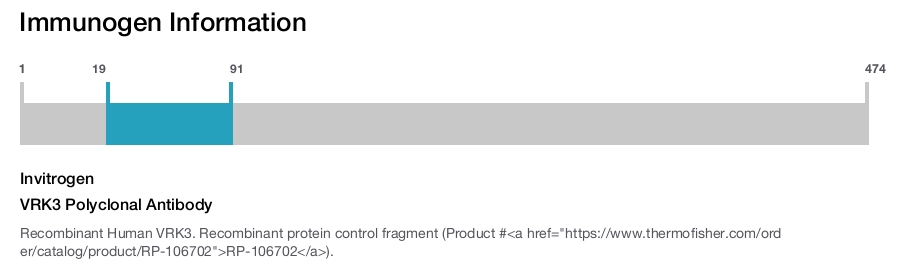 VRK3 Polyclonal Antibody