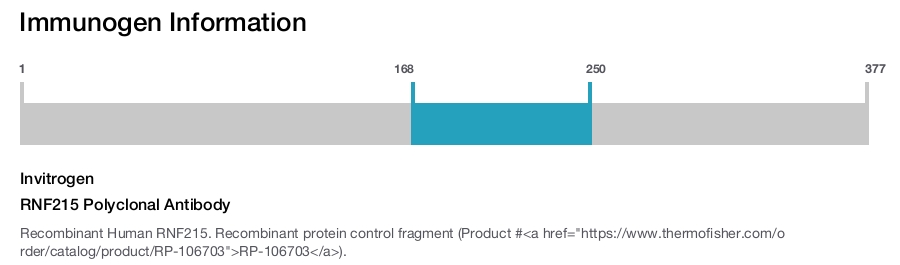 RNF215 Polyclonal Antibody
