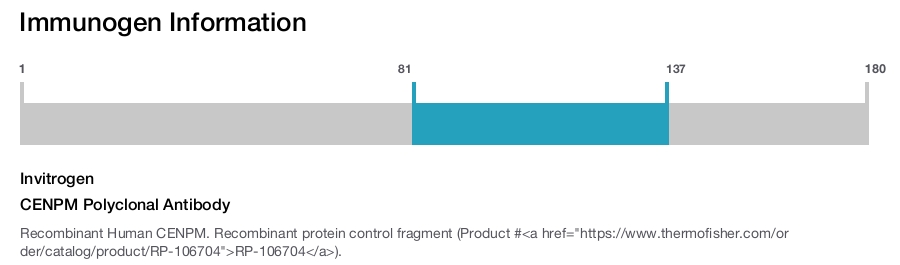 CENPM Polyclonal Antibody