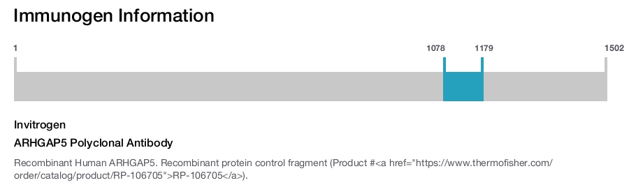 ARHGAP5 Polyclonal Antibody