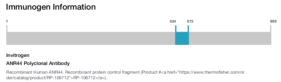 ANR44 Polyclonal Antibody