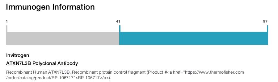 ATXN7L3B Polyclonal Antibody