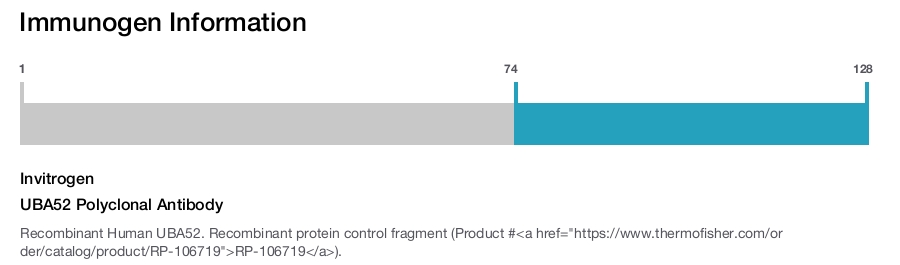 UBA52 Polyclonal Antibody