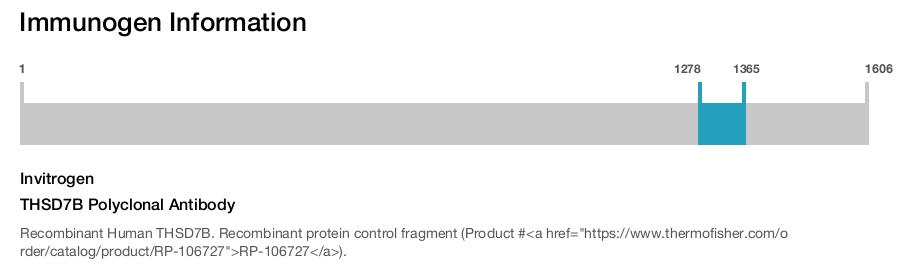 THSD7B Polyclonal Antibody