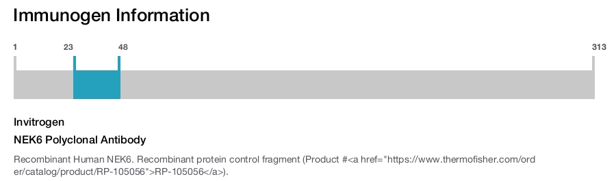 NEK6 Polyclonal Antibody