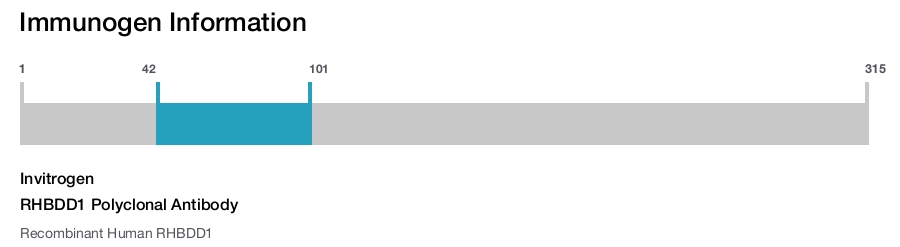 RHBDD1 Polyclonal Antibody