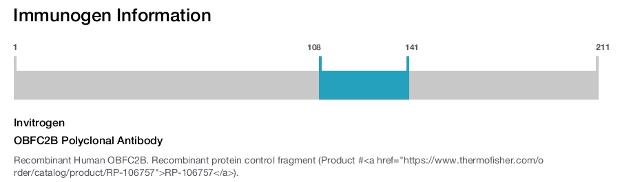 OBFC2B Polyclonal Antibody