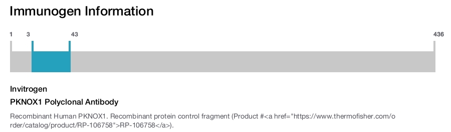 PKNOX1 Polyclonal Antibody