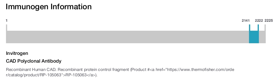 CAD Polyclonal Antibody