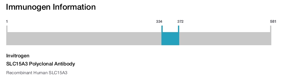 SLC15A3 Polyclonal Antibody