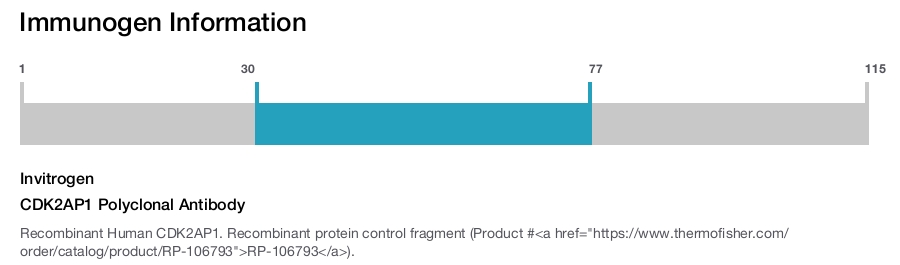 CDK2AP1 Polyclonal Antibody