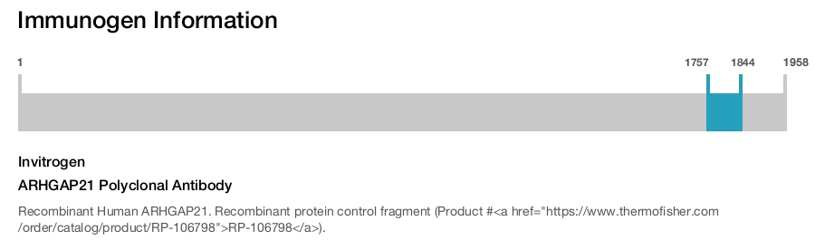 ARHGAP21 Polyclonal Antibody