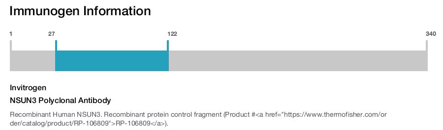 NSUN3 Polyclonal Antibody