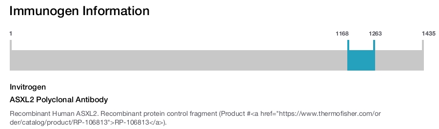 ASXL2 Polyclonal Antibody