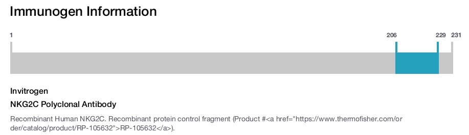 NKG2C Polyclonal Antibody