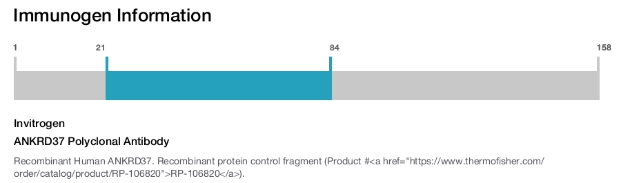 ANKRD37 Polyclonal Antibody