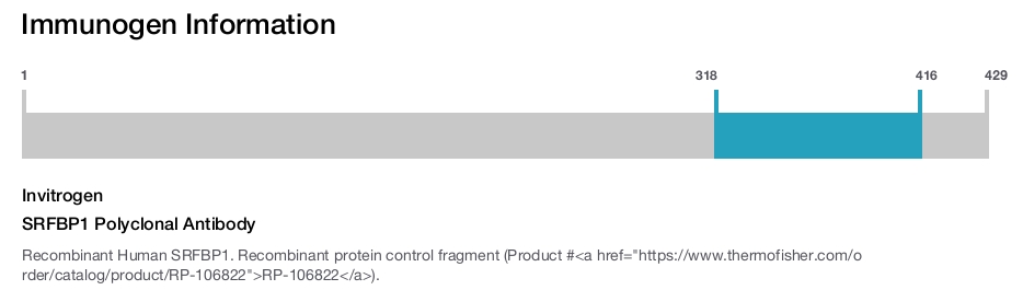 SRFBP1 Polyclonal Antibody