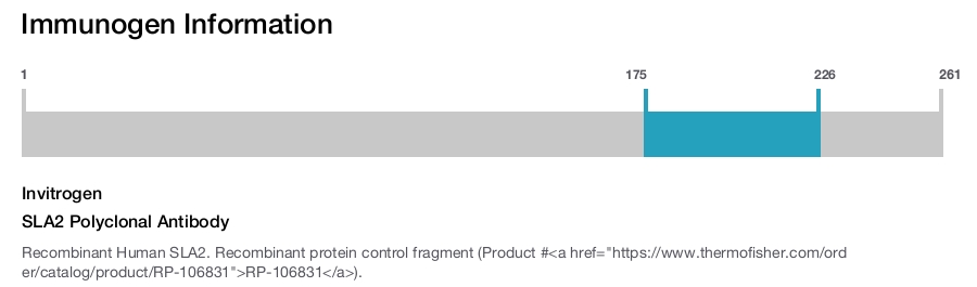 SLA2 Polyclonal Antibody
