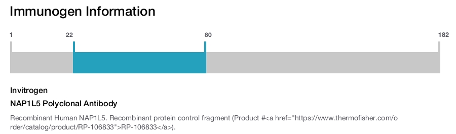 NAP1L5 Polyclonal Antibody
