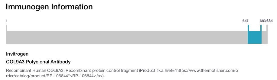 COL9A3 Polyclonal Antibody