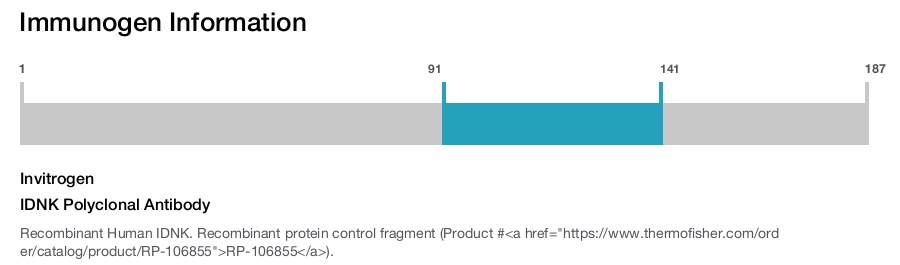 IDNK Polyclonal Antibody