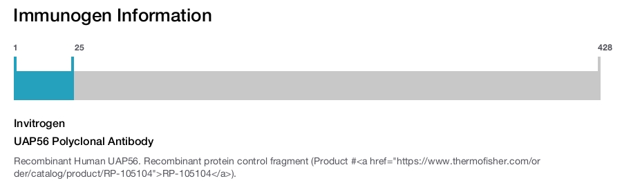 UAP56 Polyclonal Antibody