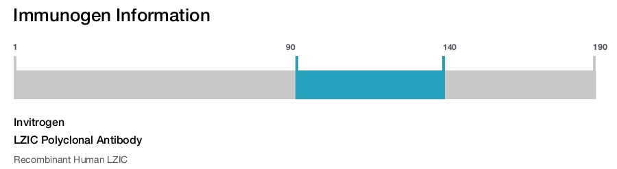 LZIC Polyclonal Antibody
