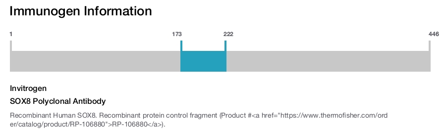 SOX8 Polyclonal Antibody