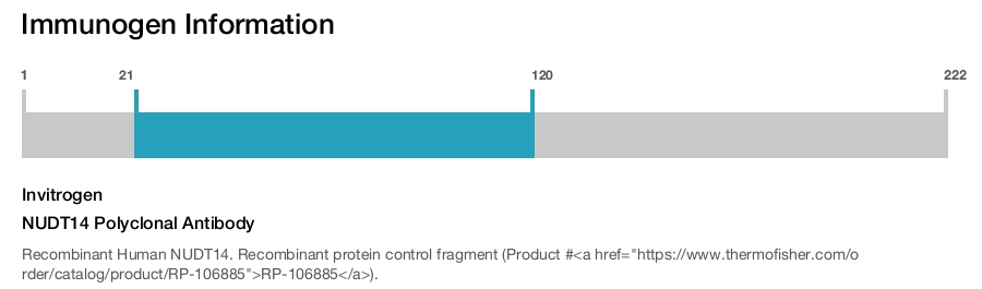 NUDT14 Polyclonal Antibody