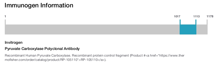 Pyruvate Carboxylase Polyclonal Antibody