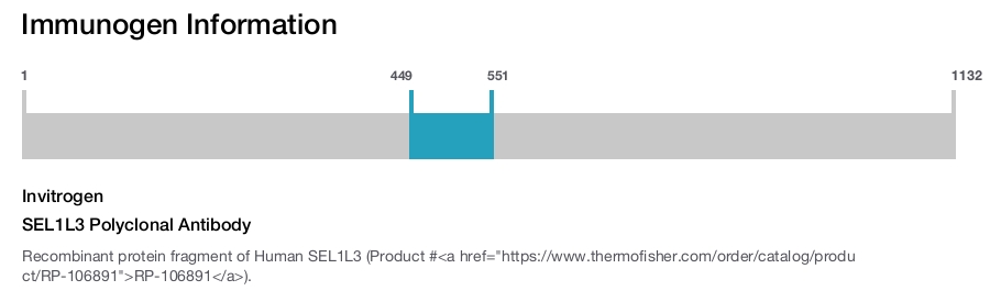 SEL1L3 Polyclonal Antibody