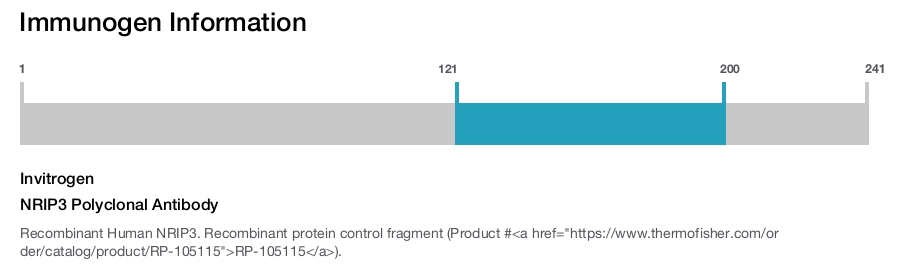 NRIP3 Polyclonal Antibody
