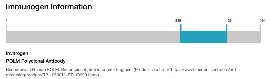 POLM Polyclonal Antibody