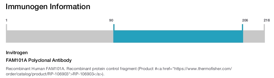 FAM101A Polyclonal Antibody