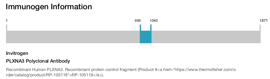 PLXNA3 Polyclonal Antibody