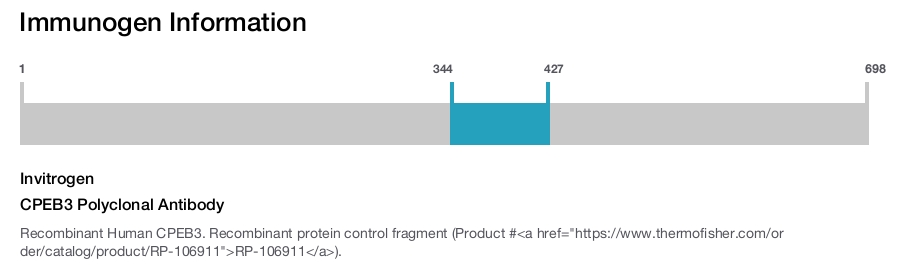CPEB3 Polyclonal Antibody