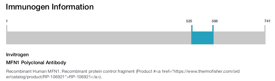 MFN1 Polyclonal Antibody