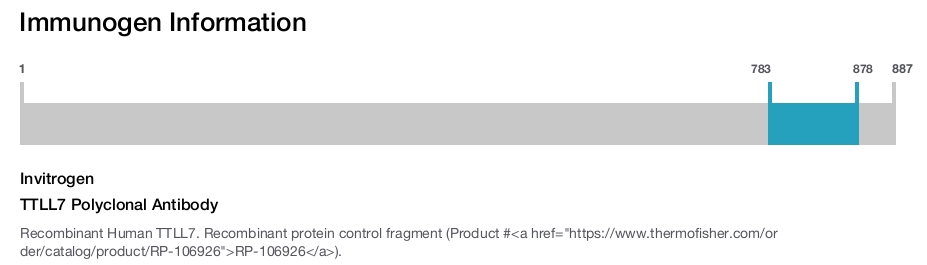 TTLL7 Polyclonal Antibody