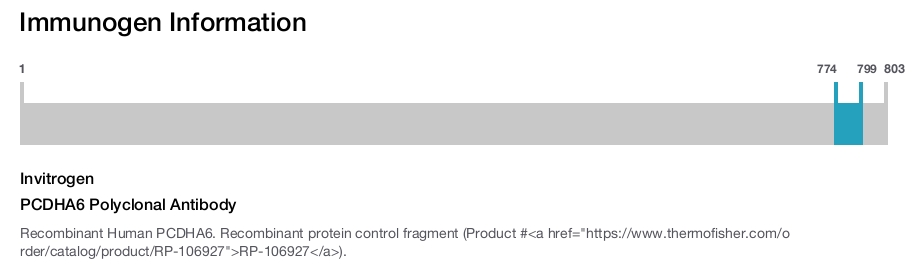 PCDHA6 Polyclonal Antibody