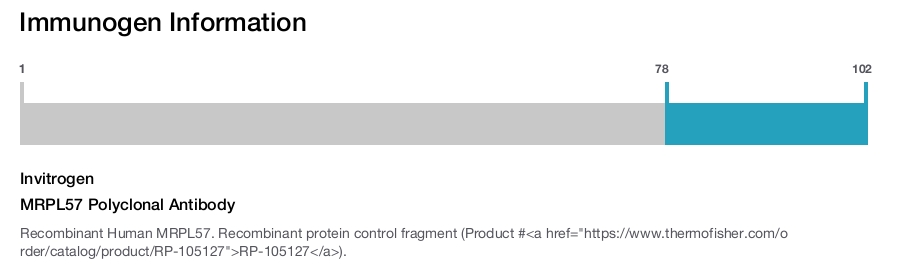 MRPL57 Polyclonal Antibody