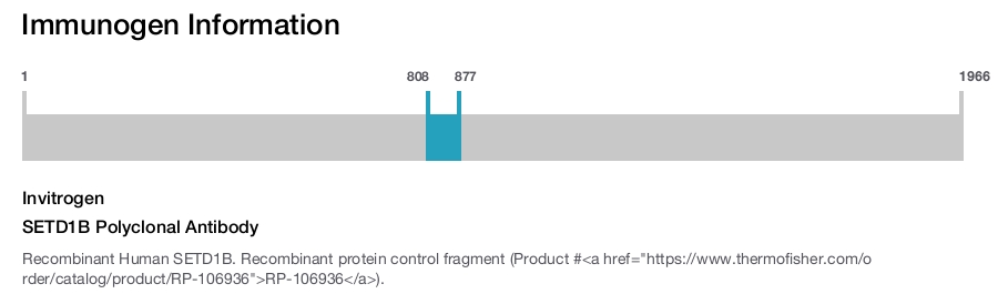 SETD1B Polyclonal Antibody