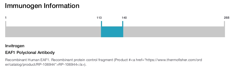 EAF1 Polyclonal Antibody