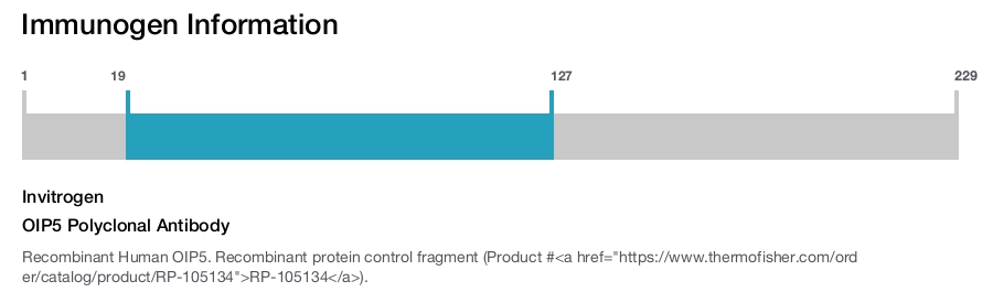 OIP5 Polyclonal Antibody