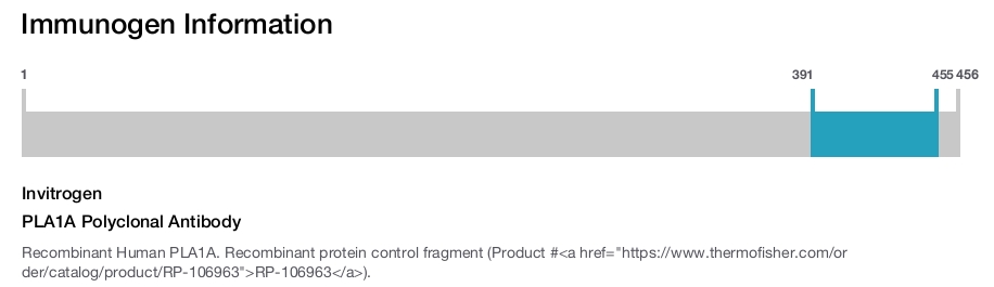 PLA1A Polyclonal Antibody