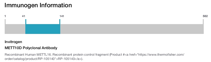 METT10D Polyclonal Antibody