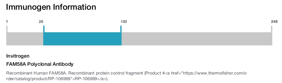FAM58A Polyclonal Antibody