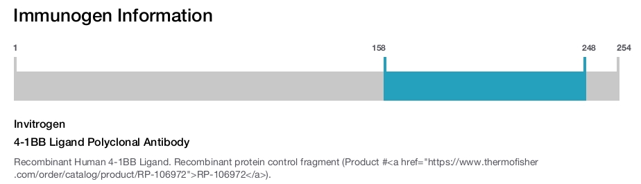 4-1BB Ligand Polyclonal Antibody