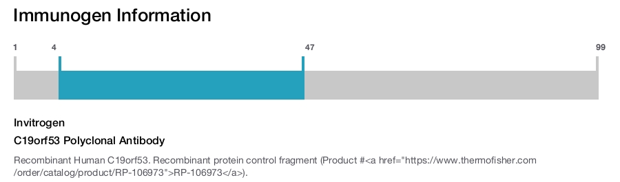 C19orf53 Polyclonal Antibody