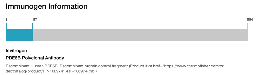PDE6B Polyclonal Antibody